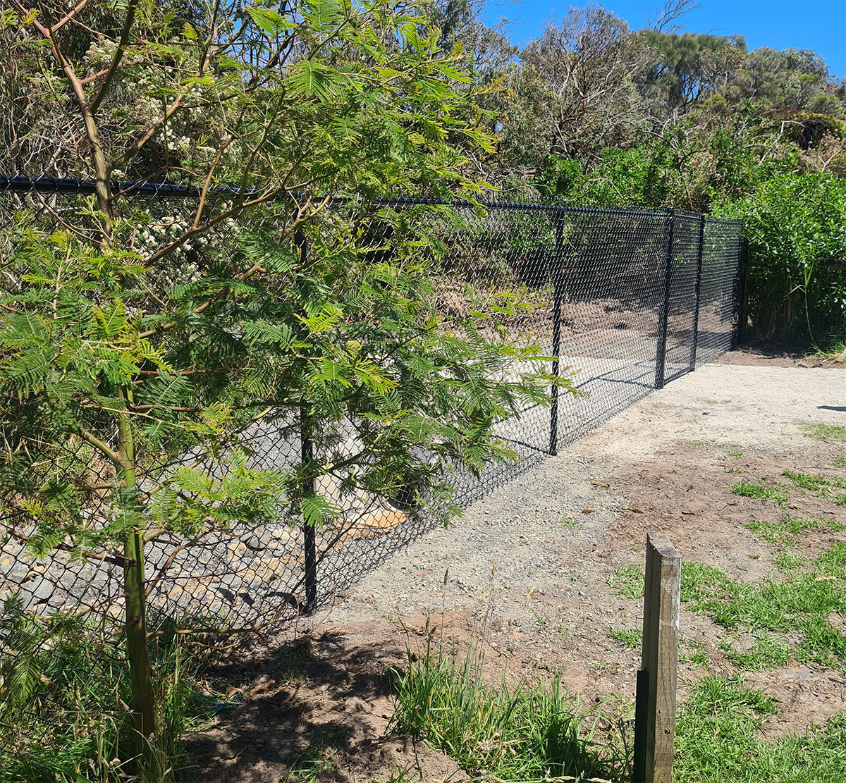 Black chain mesh fencing and gate installed beside landscaped reserve area