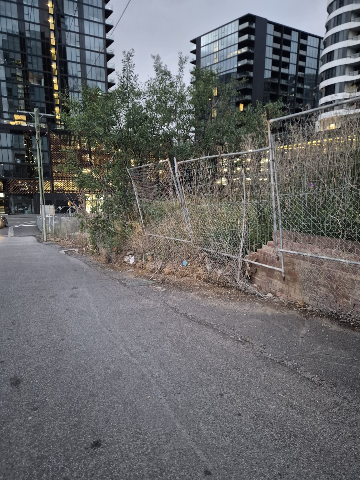 Damaged and overgrown original boundary fence beside the Footscray footpath before renovation
