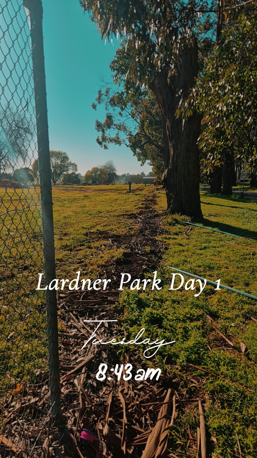 During installation at Lardner Park, view 13
