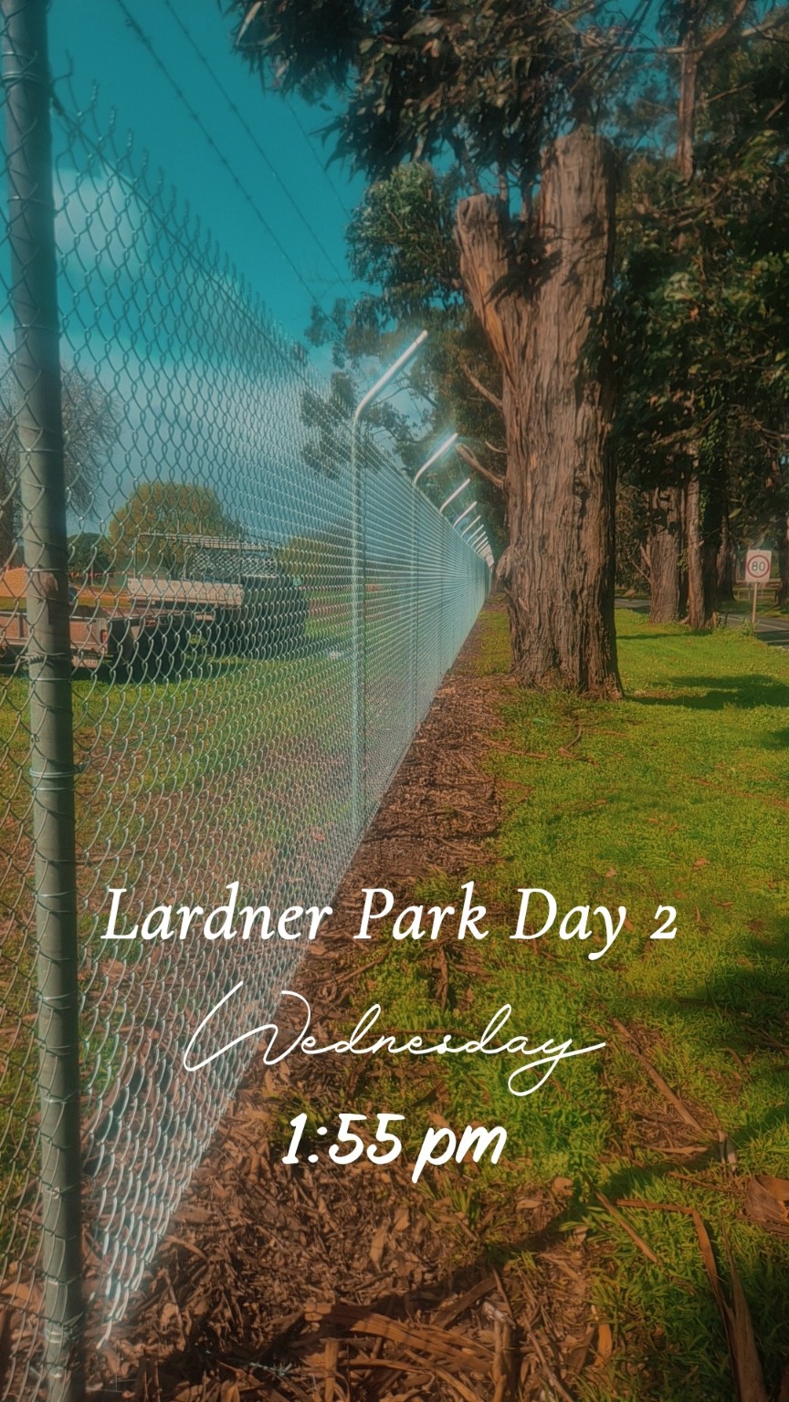 During installation at Lardner Park, view 14