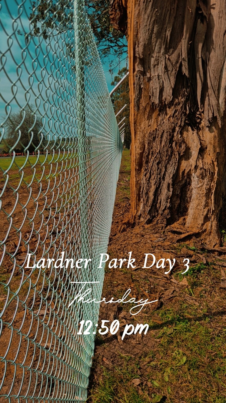 During installation at Lardner Park, view 15